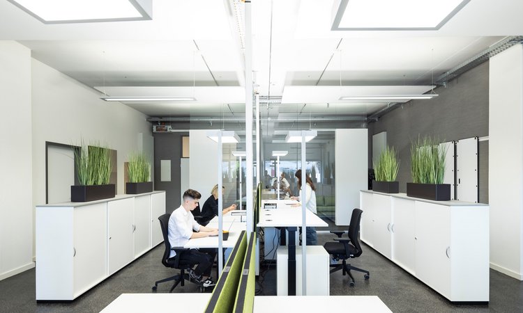 Mehrere Personen arbeiten im Coworking Bereich von Grieb Immobilien